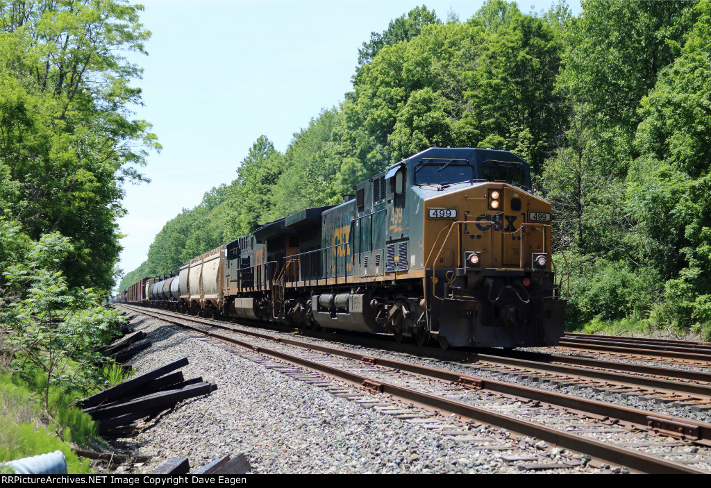 CSX 499